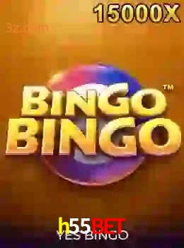 bingobingo