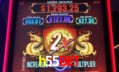Descubra o Mundo do Cassino Online com h55bet
