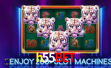 Dr. Ricardo Silva - Especialista em Live Casino